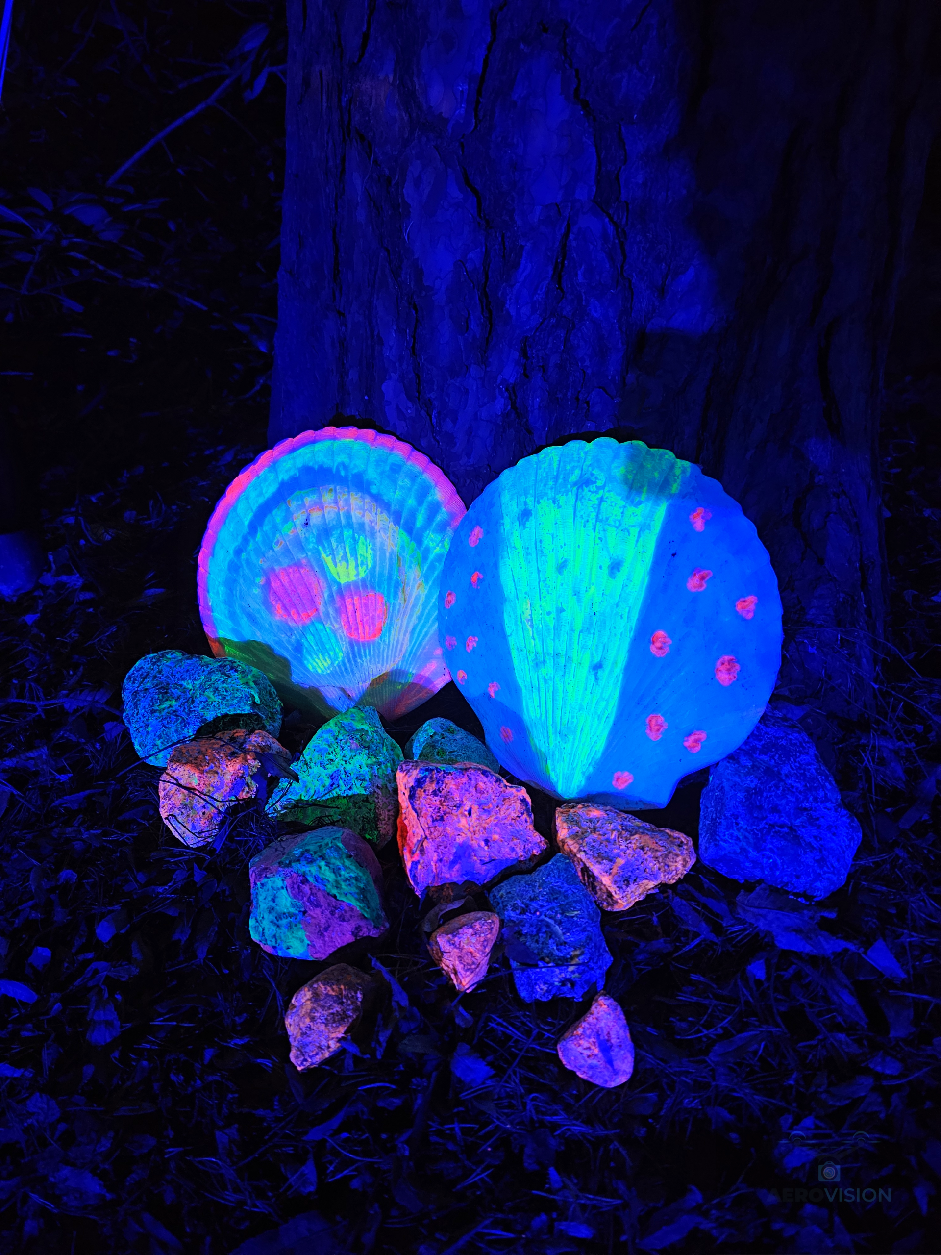 Aaltoja festivaali 2025 Kotka Sapokka