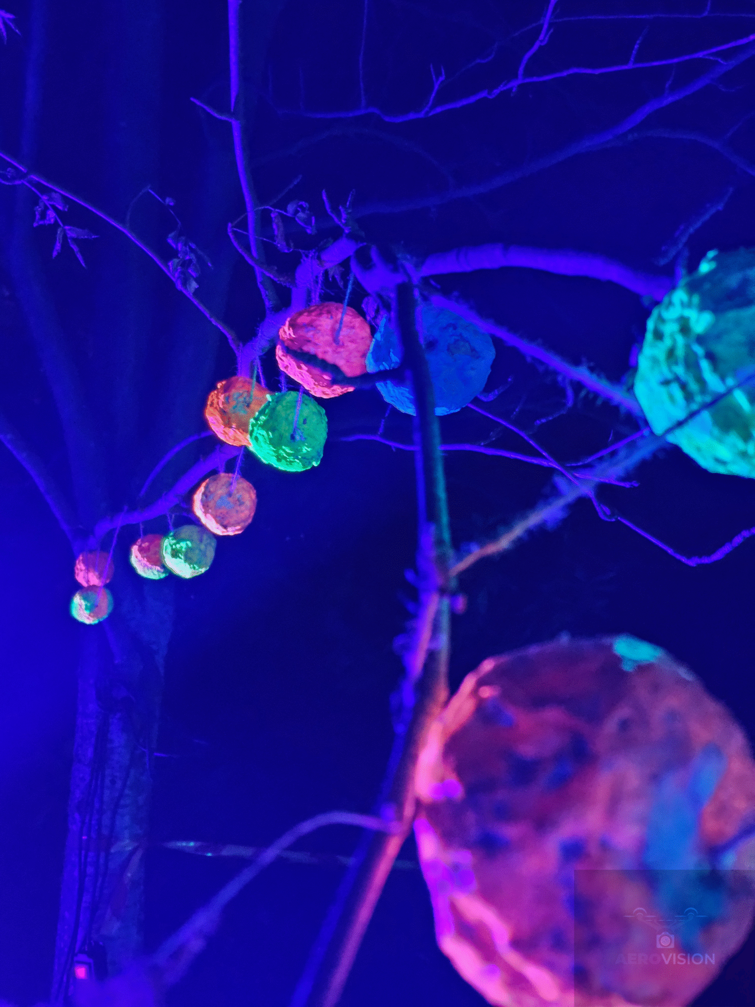 Aaltoja festivaali 2025 Sapokka